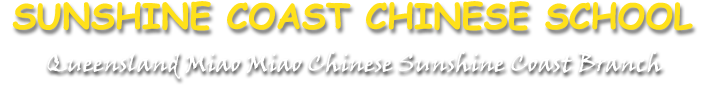 Sunshine Coast Chinese School become Kung Fu in Mandarin